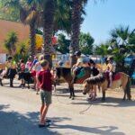 Camping Les Jardin D'agathe - Bild 8