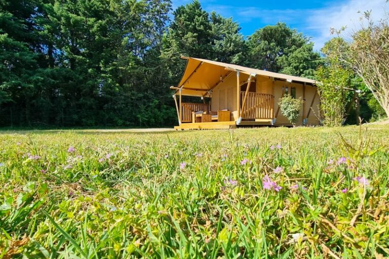 Camping Les Micocouliers - Bild 8