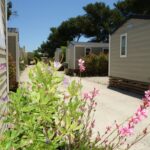 Camping Les Mouettes - Bild 2 Camping Les Mouettes - Bild 2