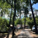 Camping Les Ourmes - Bild 3