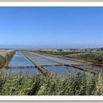 Camping Les Pérouses Du Phare - Bild 8