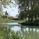 Camping Les Peupliers - Bild 7