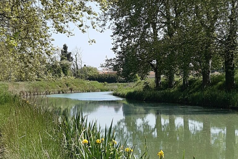 Camping Les Peupliers - Bild 7