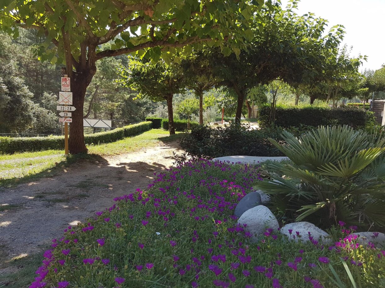 Camping Les Pins D'ucel - Bild 2 Camping Les Pins D'ucel - Bild 2