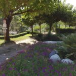 Camping Les Pins D'ucel - Bild 2 Camping Les Pins D'ucel - Bild 2