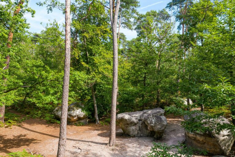 Camping Les Prés - Bild 12