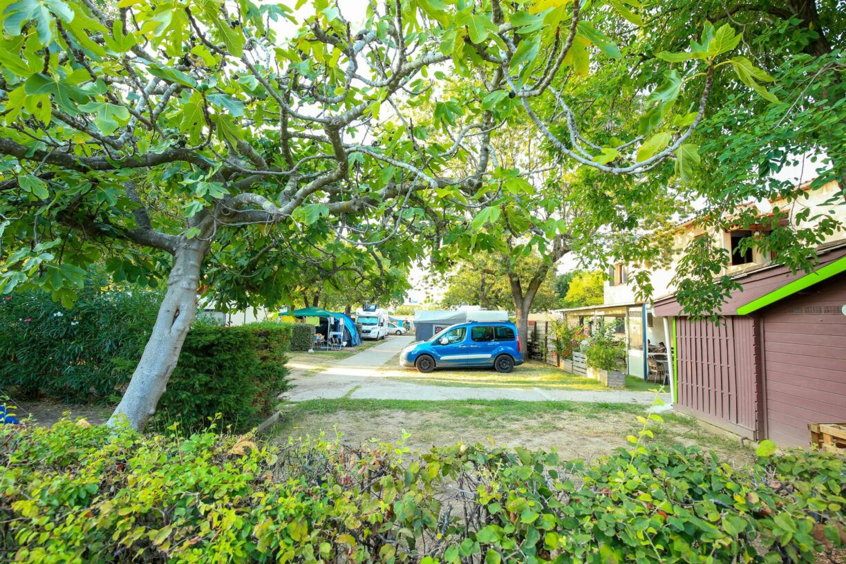 Camping Les Pruniers - Bild 5 Camping Les Pruniers - Bild 5