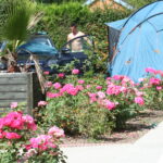 Camping Les Puits Tournants - Bild 7
