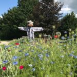 Camping Les Ripettes - Bild 15 Camping Les Ripettes - Bild 15