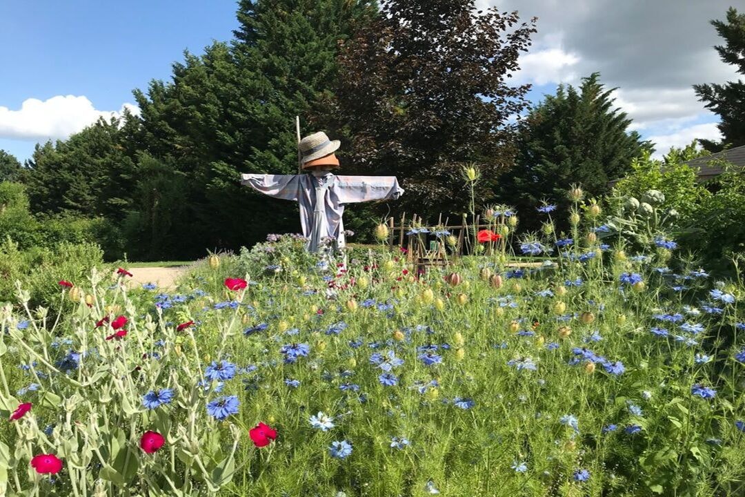 Camping Les Ripettes - Bild 15 Camping Les Ripettes - Bild 15