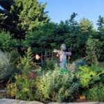 Camping Les Ripettes - Bild 17 Camping Les Ripettes - Bild 17