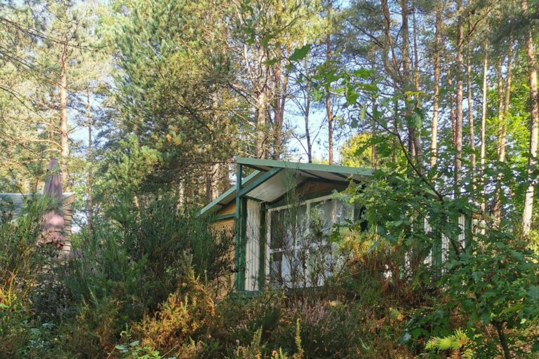 Camping Les Sapins De Corrèze - Bild 14 Camping Les Sapins De Corrèze - Bild 14