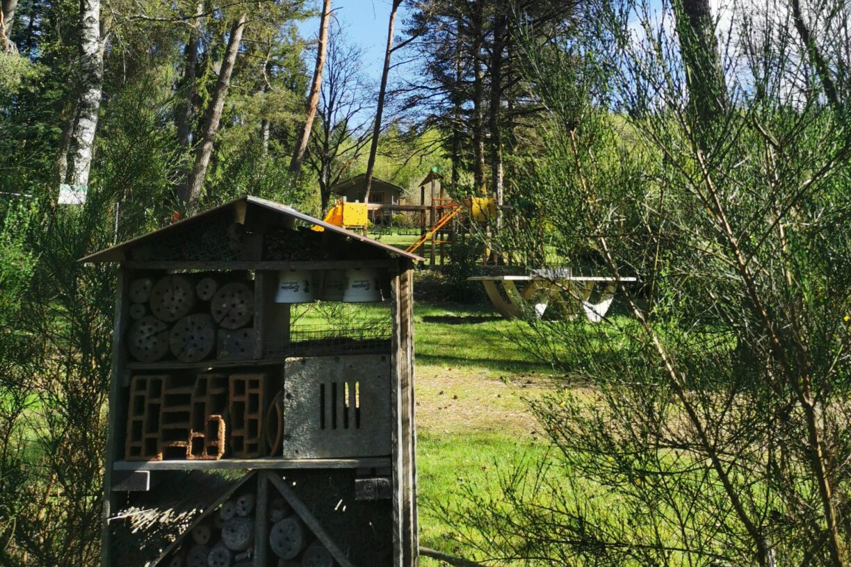 Camping Les Sapins De Corrèze - Bild 6 Camping Les Sapins De Corrèze - Bild 6