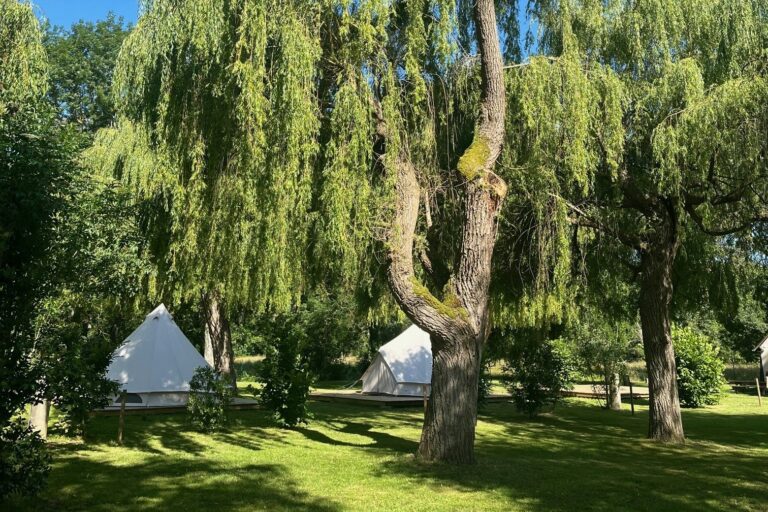 Camping Les Saules De Cormery - Bild 8