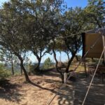 Camping Les Terrasses Provençales - Bild 4 Camping Les Terrasses Provençales - Bild 4