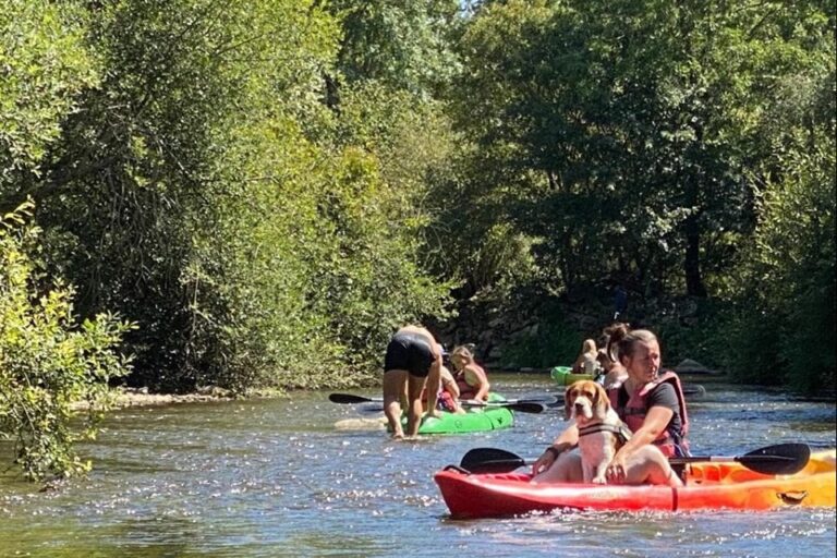 Camping Les Tournesols - Bild 11