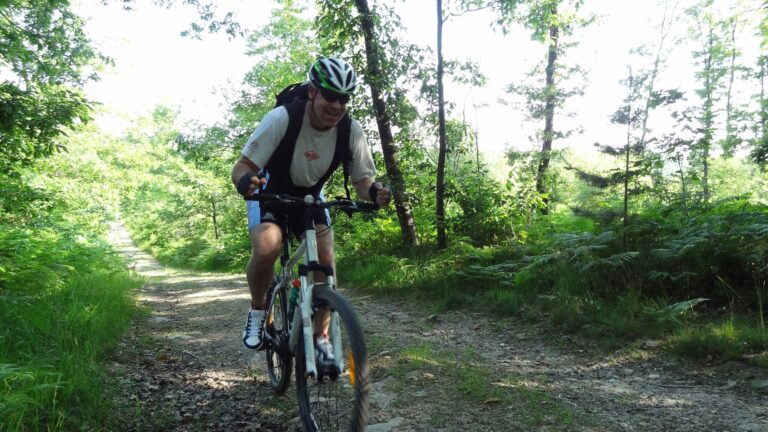 Camping Les Tournesols - Bild 5