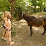 Camping Les Trois Lacs - Bild 5 Camping Les Trois Lacs - Bild 5