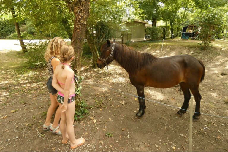 Camping Les Trois Lacs - Bild 5 Camping Les Trois Lacs - Bild 5