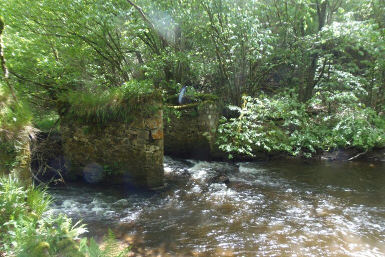 Camping Les Trois Sources - Bild 8