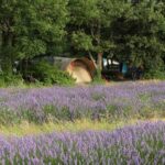 Flower Camping Les Truffières - Bild 1