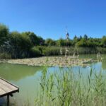 Camping Lestaubière - Bild 12