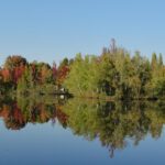 Camping L'etang De Sologne - Bild 10 Camping L'etang De Sologne - Bild 10