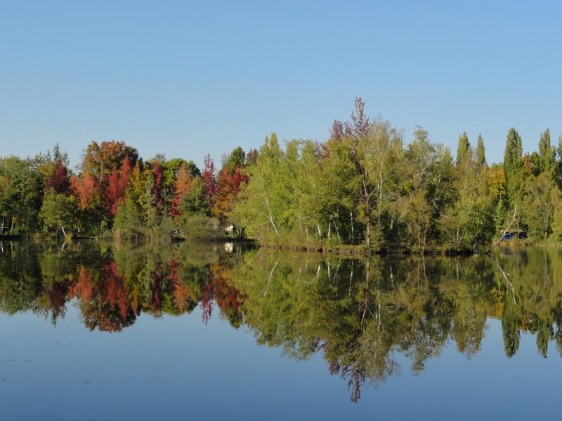 Camping L'etang De Sologne - Bild 10 Camping L'etang De Sologne - Bild 10