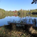 Camping L'etang De Sologne - Bild 11 Camping L'etang De Sologne - Bild 11