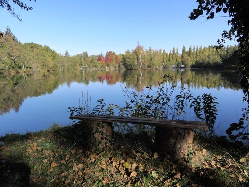 Camping L'etang De Sologne - Bild 11 Camping L'etang De Sologne - Bild 11