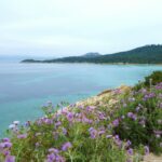 Camping Lou Pantai - Bild 3