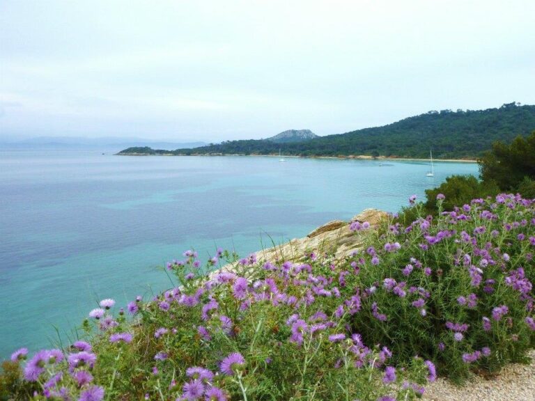 Camping Lou Pantai - Bild 3