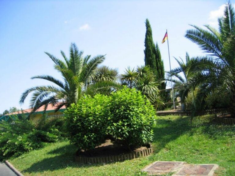 Camping Lou P'tit Poun - Bild 6