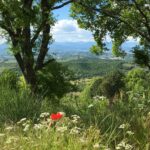 Camping Luna Del Monte - Bild 6