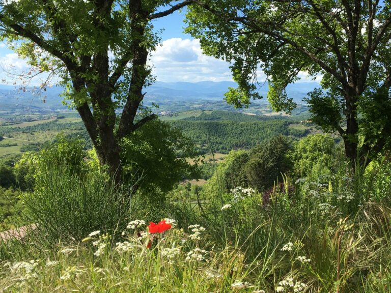 Camping Luna Del Monte - Bild 6