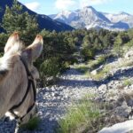 Camping Mandala - Bild 9