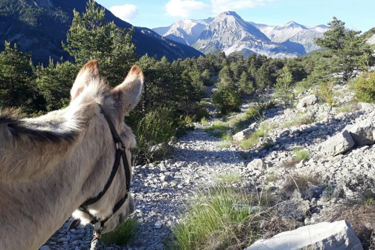 Camping Mandala - Bild 9