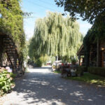 Camping Mareveld - Bild 16