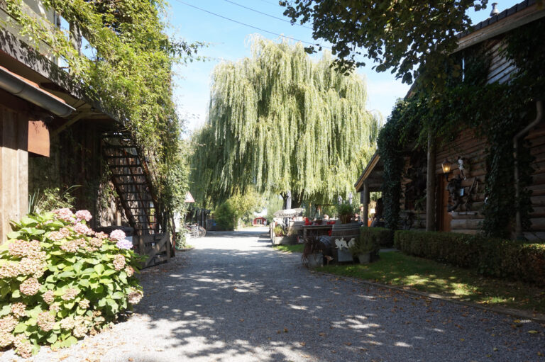 Camping Mareveld - Bild 16