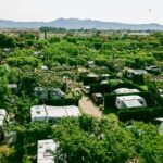 Camping Mas Nou - Bild 2 Camping Mas Nou - Bild 2