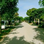 Camping Mas Nou - Bild 6 Camping Mas Nou - Bild 6