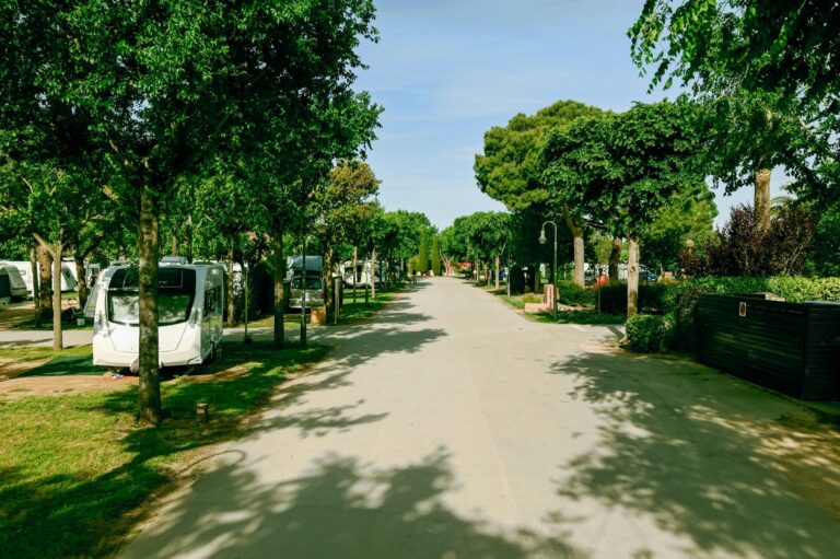 Camping Mas Nou - Bild 6 Camping Mas Nou - Bild 6