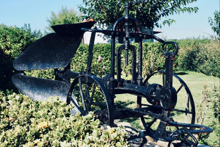 Camping Merko Lacarra - Bild 13