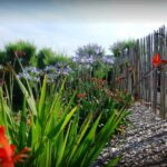 Camping Merko Lacarra - Bild 9