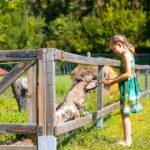 Camping Moulin Du Bel Air - Bild 14