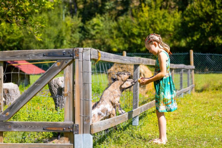 Camping Moulin Du Bel Air - Bild 14