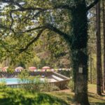 Camping Namasté - Bild 7