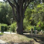 Camping Nid Du Parc - Bild 18 Camping Nid Du Parc - Bild 18