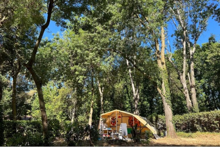 Camping Nostradamus - Bild 4