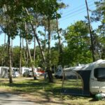 Camping Orbitur Mira - Bild 1 Camping Orbitur Mira - Bild 1